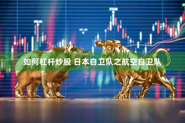 如何杠杆炒股 日本自卫队之航空自卫队