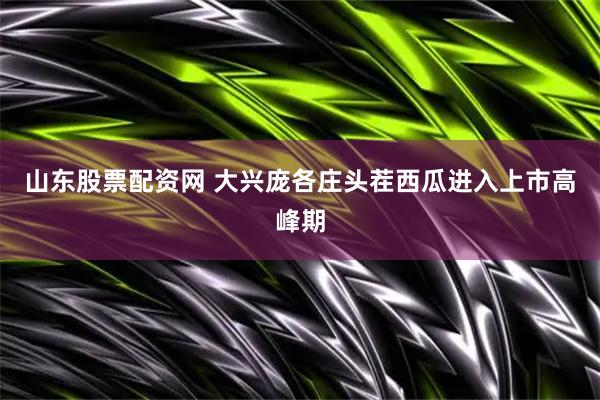 山东股票配资网 大兴庞各庄头茬西瓜进入上市高峰期